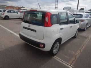 FIAT Panda usata, con Alzacristalli elettrici