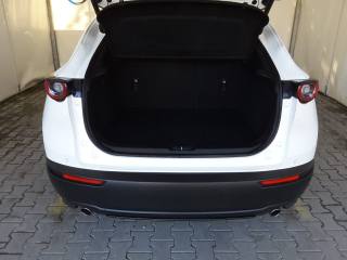 MAZDA CX-30 usata, con Servosterzo