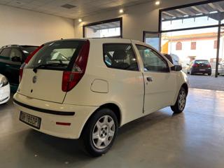 FIAT Punto usata, con Fendinebbia