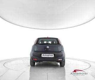 FIAT Punto Evo usata 5