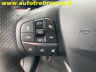 FORD Puma usata, con Cronologia tagliandi