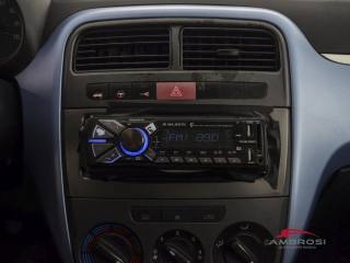 FIAT Punto usata 13