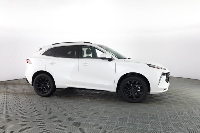 FORTHING T5 Evo usata 2
