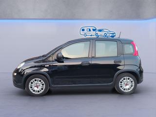 FIAT Panda usata 19