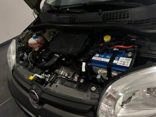 FIAT Panda usata, con Fendinebbia
