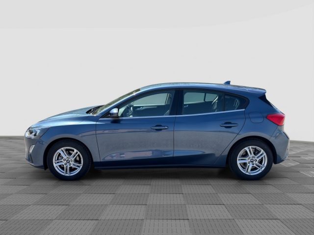 FORD Focus usata 1