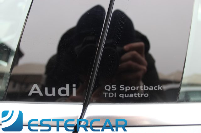 AUDI Q5 usata, con Cerchi in lega