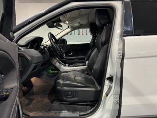 LAND ROVER Range Rover Evoque usata, con Cronologia tagliandi