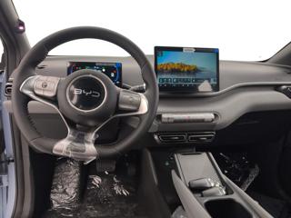 BYD Dolphin Surf usata, con ESP