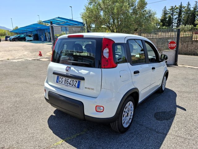 FIAT Panda usata 5
