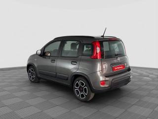 FIAT Panda usata 2