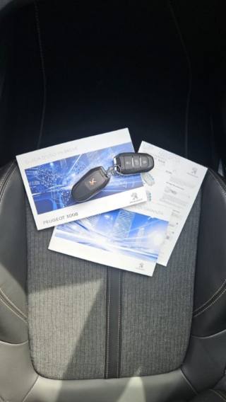 PEUGEOT 3008 usata, con Climatizzatore