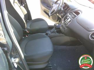 FIAT Punto usata 12