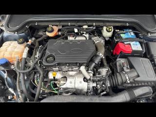 FORD Focus usata, con Cruise Control