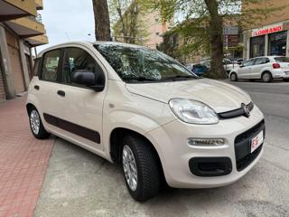 FIAT Panda usata, con Alzacristalli elettrici