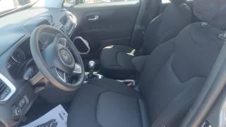 JEEP Renegade usata, con Cronologia tagliandi