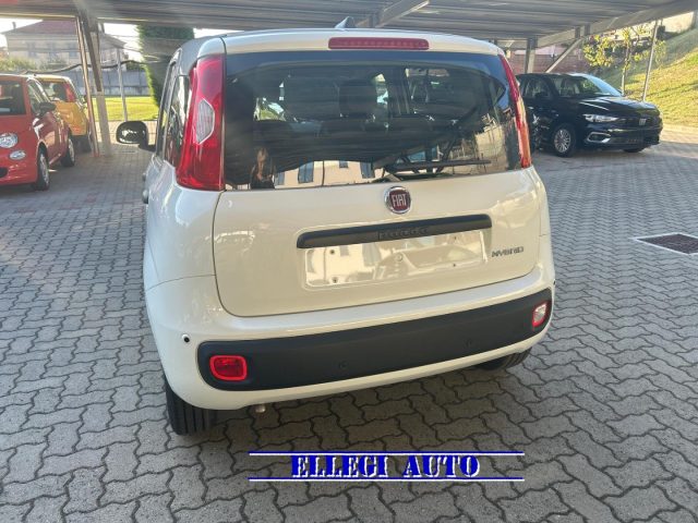 FIAT Panda usata, con Antifurto