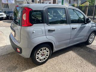 FIAT Panda usata, con Climatizzatore