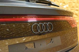 AUDI Q8 usata 21