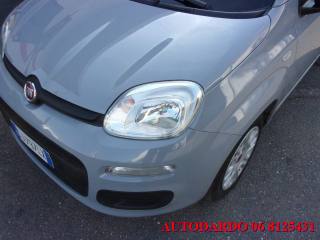 FIAT Panda usata, con Climatizzatore