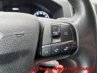 FORD Transit usata, con Servosterzo