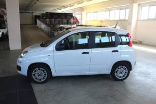 FIAT Panda usata, con Airbag Passeggero