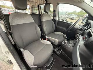 FIAT Panda usata 16