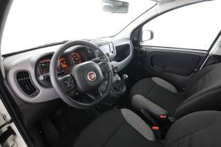 FIAT Panda usata 1