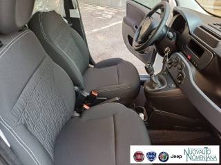 FIAT Panda usata, con Airbag testa