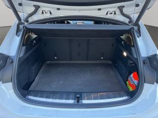 BMW X2 usata, con Bracciolo