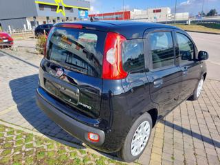 FIAT Panda usata, con Airbag Passeggero