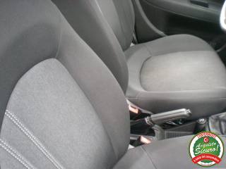 FIAT Punto usata 10