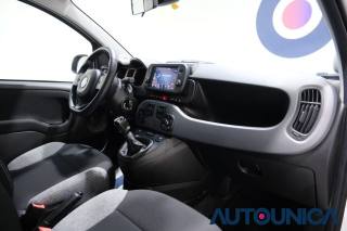 FIAT Panda usata 47