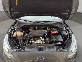 FORD Focus usata, con Isofix