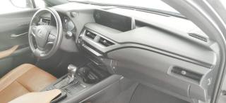 LEXUS UX 250h usata 61