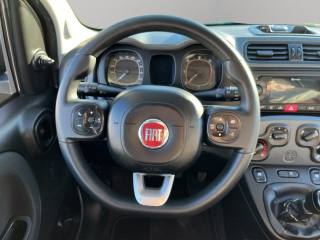 FIAT Panda usata 9
