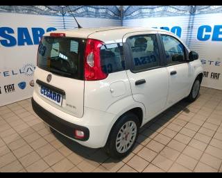 FIAT New Panda usata, con Airbag Passeggero