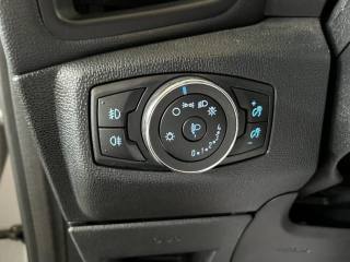 FORD EcoSport usata, con ESP
