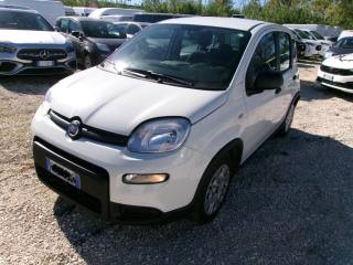 FIAT Panda 1.0 FireFly S&S Hybrid IDONEA NEOPATENTATI