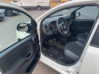 FIAT Panda usata, con Marmitta catalitica