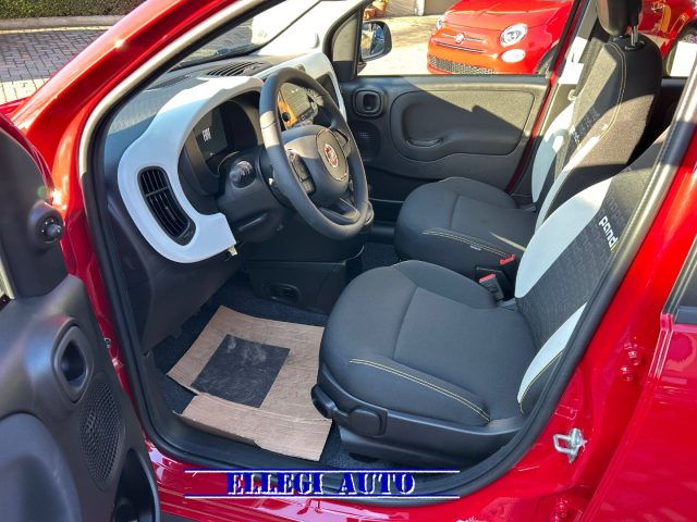 FIAT Pandina Cross usata, con Controllo trazione