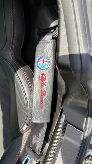 ALFA ROMEO 4C usata 20