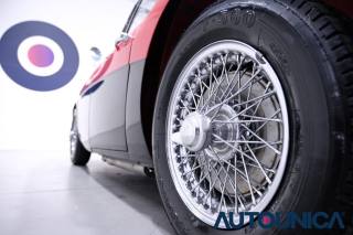 AUSTIN Healey usata 53