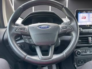 FORD EcoSport usata, con Cruise Control
