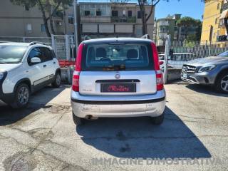 FIAT Panda usata, con Alzacristalli elettrici