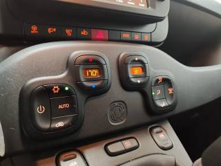 FIAT Panda Cross usata 18