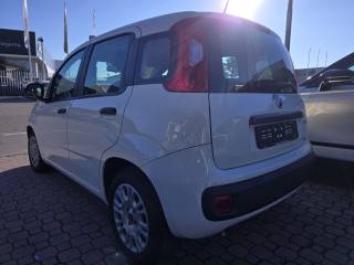 FIAT Panda usata, con Controllo trazione