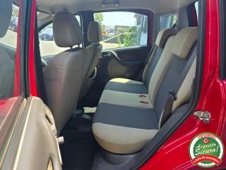 FIAT Panda usata, con Servosterzo