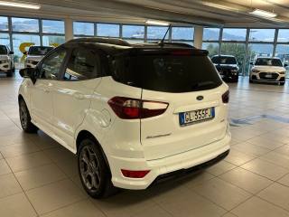 FORD EcoSport usata, con Boardcomputer