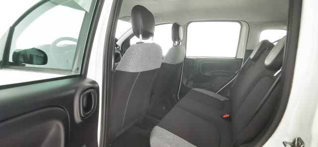 FIAT Panda usata 42